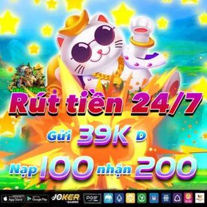 PP11 PP11