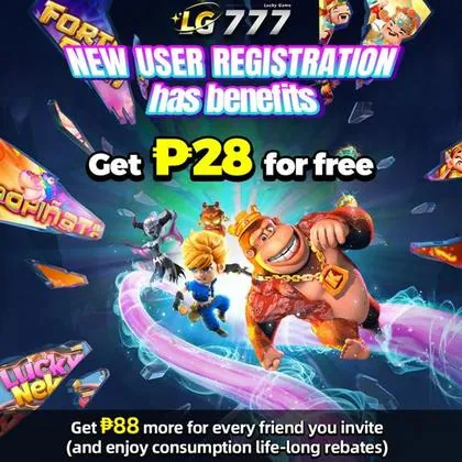 PP11 PP11