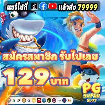 PP11 PP11